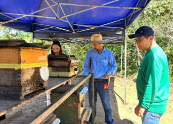 Semagric e Embrapa alinham detalhes para o 1º Workshop da Amazônia Ocidental