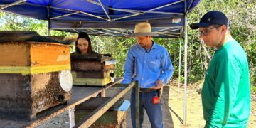 Semagric e Embrapa alinham detalhes para o 1º Workshop da Amazônia Ocidental