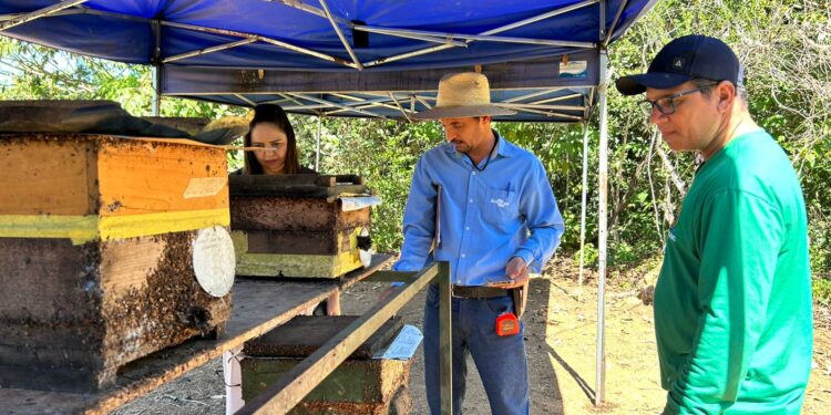 Semagric e Embrapa alinham detalhes para o 1º Workshop da Amazônia Ocidental