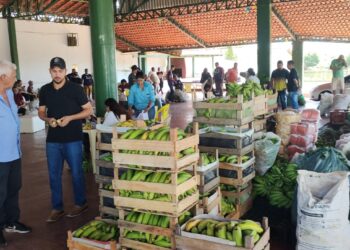 Transporte da Produção Rural da Semagric garante economia e facilita entrega de alimentos em Porto Velho