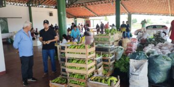Transporte da Produção Rural da Semagric garante economia e facilita entrega de alimentos em Porto Velho