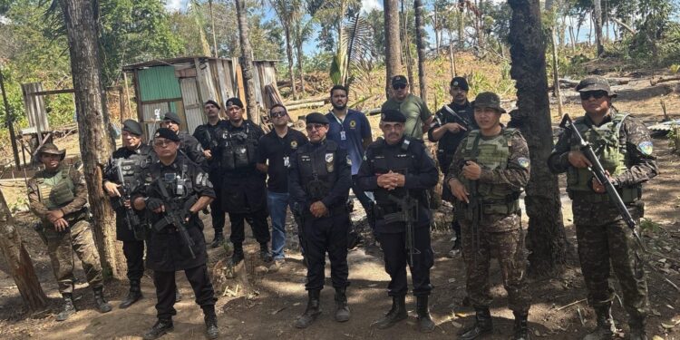 Operação integrada combate desmatamento ilegal e cumpre mandado de prisão na área pública invadida em Porto Velho