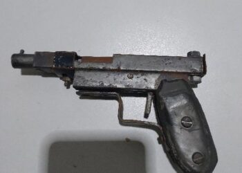 Toda enrolada em saco plástico dentro de casa