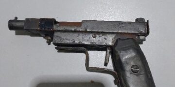 Toda enrolada em saco plástico dentro de casa