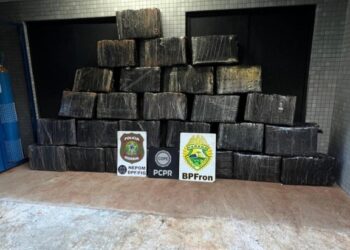 PF prende duas pessoas e apreende mais de 700 kg de maconha