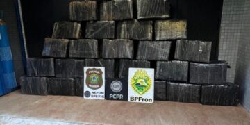 PF prende duas pessoas e apreende mais de 700 kg de maconha