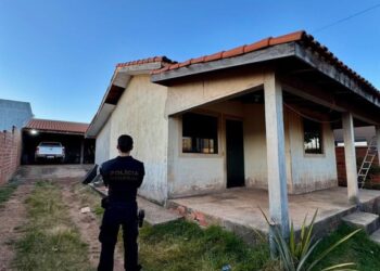 PF deflagra Operação Benevolentia contra extração ilegal de madeira em Terras Indígenas de Rondônia