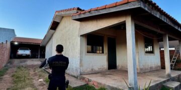 PF deflagra Operação Benevolentia contra extração ilegal de madeira em Terras Indígenas de Rondônia