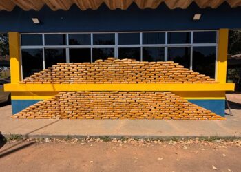 PRF no Acre realiza a maior apreensão de skunk da história da instituição no estado