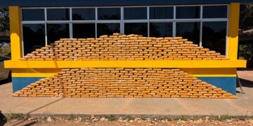 PRF no Acre realiza a maior apreensão de skunk da história da instituição no estado