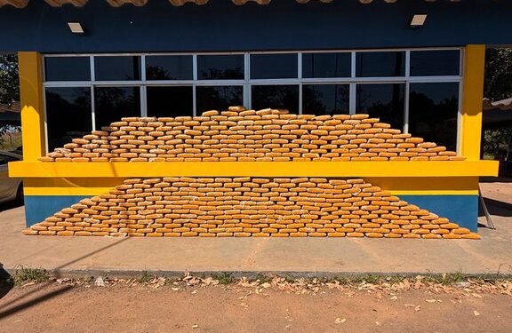 PRF no Acre realiza a maior apreensão de skunk da história da instituição no estado