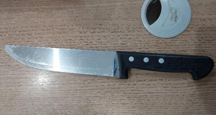 POLÍCIA MILITAR CUMPRE MANDADO DE PRISÃO EM NOVA MAMORÉ APÓS RESISTÊNCIA DE FORAGIDO