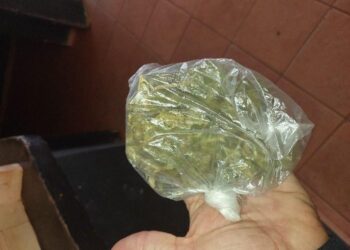 POLÍCIA MILITAR APREENDE MACONHA E BALANÇA DE PRECISÃO DURANTE ABORDAGEM A CICLISTA