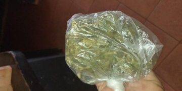 POLÍCIA MILITAR APREENDE MACONHA E BALANÇA DE PRECISÃO DURANTE ABORDAGEM A CICLISTA