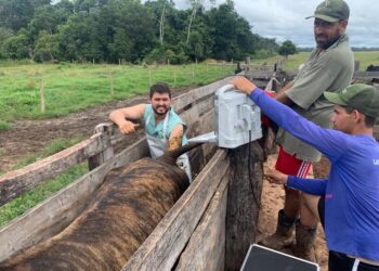 Governo de RO aumenta a produtividade leiteira com investimentos em tecnologia