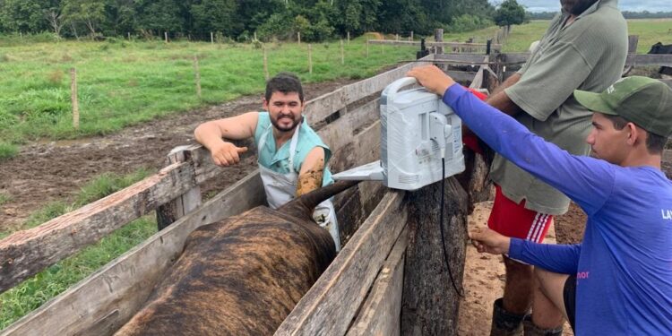 Governo de RO aumenta a produtividade leiteira com investimentos em tecnologia