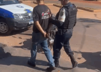 10º BPM – FORÇAS DE SEGURANÇA REALIZAM OPERAÇÃO CONJUNTA E PRENDEM GRUPO DE CRIMINOSOS ESPECIALIZADOS EM FURTO DE CAMINHONETES