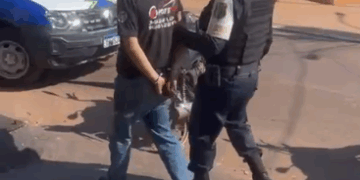 10º BPM – FORÇAS DE SEGURANÇA REALIZAM OPERAÇÃO CONJUNTA E PRENDEM GRUPO DE CRIMINOSOS ESPECIALIZADOS EM FURTO DE CAMINHONETES