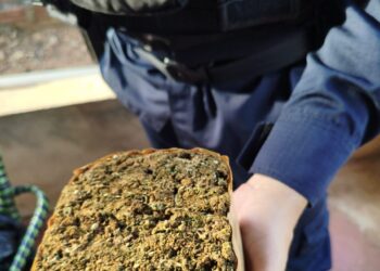 POLÍCIA MILITAR E POLÍCIA CIVIL APREENDEM DROGAS E DINHEIRO EM CUMPRIMENTO A MANDADO DE BUSCA E APREENSÃO EM NOVA BRASILÂNDIA DO OESTE