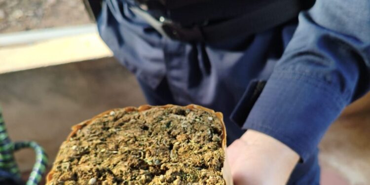 POLÍCIA MILITAR E POLÍCIA CIVIL APREENDEM DROGAS E DINHEIRO EM CUMPRIMENTO A MANDADO DE BUSCA E APREENSÃO EM NOVA BRASILÂNDIA DO OESTE