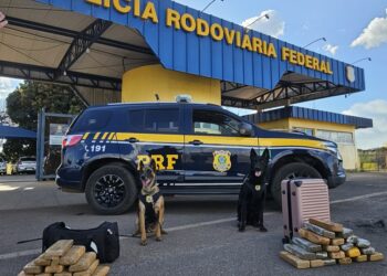 PRF prende duas mulheres com quase 30 kg de maconha na BR-060