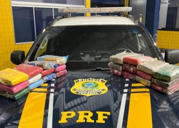 PRF apreende 25,6 kg de maconha em Vilhena