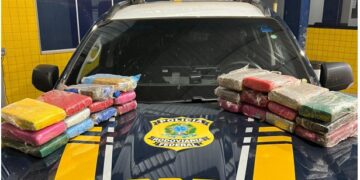 PRF apreende 25,6 kg de maconha em Vilhena