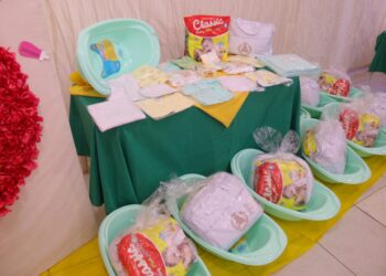 Assembleia Legislativa de Rondônia aprova recursos para o “Programa Mamãe Cheguei”