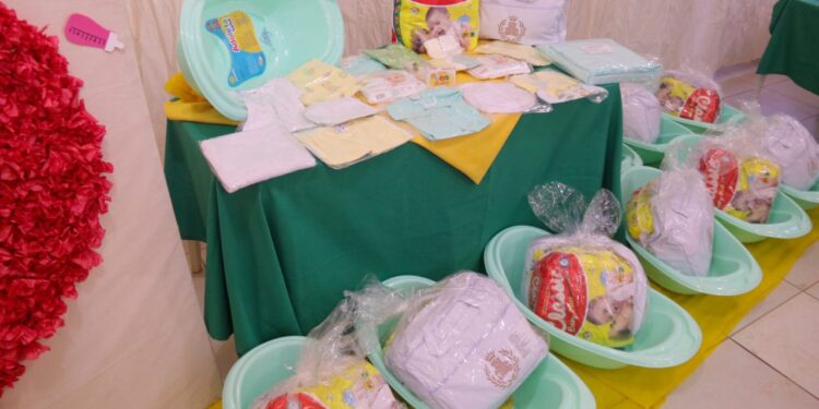 Assembleia Legislativa de Rondônia aprova recursos para o “Programa Mamãe Cheguei”