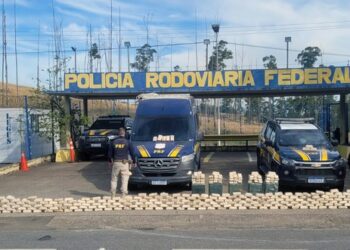Cães da PRF encontram mais de meia tonelada de pasta base de cocaína no RJ