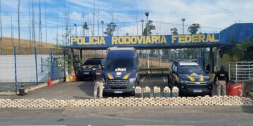 Cães da PRF encontram mais de meia tonelada de pasta base de cocaína no RJ