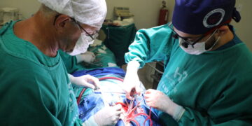 Dia do Cardiologista: governo de RO destaca avanços e reforça cuidados com a saúde do coração