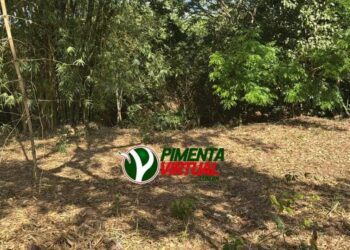 Terceira morte violenta em menos de 8 dias assusta moradores de Pimenta Bueno