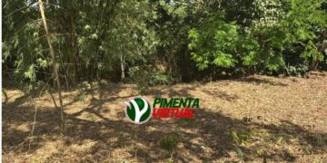 Terceira morte violenta em menos de 8 dias assusta moradores de Pimenta Bueno