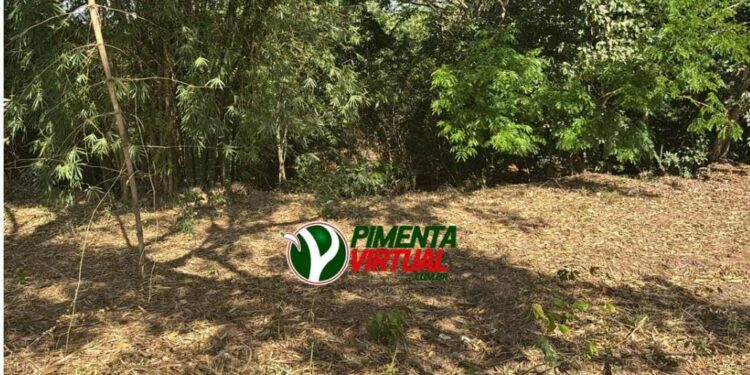 Terceira morte violenta em menos de 8 dias assusta moradores de Pimenta Bueno