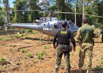 PF deflagra em combate a crimes ambientais em Rondônia