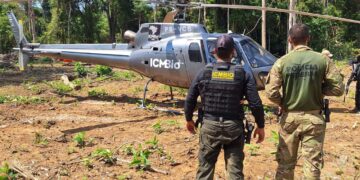 PF deflagra em combate a crimes ambientais em Rondônia