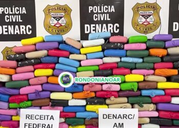 POLÍCIA CIVIL APREENDE 171 KG DE SKUNK NA OPERAÇÃO PROTETOR DAS DIVISAS E FRONTEIRAS