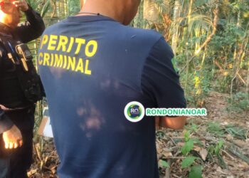 EXECUTADO: Corpo é encontrado em área de mata com várias perfurações pelo corpo 