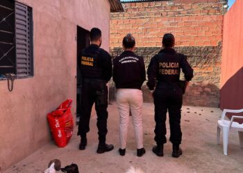 PF deflagra operação contra crimes sexuais infantojuvenil e maus-tratos a animais em Porto Velho/RO