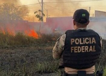 Operação Sentinelas da Amazônia completa dois meses com redução de queimadas e prisões por crimes ambientais