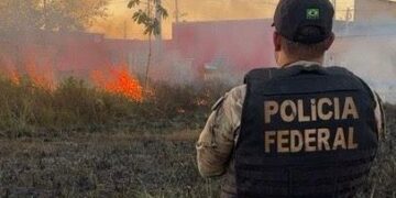 Operação Sentinelas da Amazônia completa dois meses com redução de queimadas e prisões por crimes ambientais