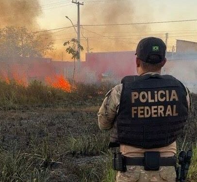 Operação Sentinelas da Amazônia completa dois meses com redução de queimadas e prisões por crimes ambientais