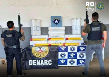 POLÍCIA CIVIL: CARGA DE “SKUNK” É APREENDIDA DURANTE FISCALIZAÇÃO NA BR-319 EM OPERAÇÃO CONJUNTA DO DENARC E RECEITA FEDERAL