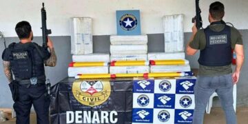 POLÍCIA CIVIL: CARGA DE “SKUNK” É APREENDIDA DURANTE FISCALIZAÇÃO NA BR-319 EM OPERAÇÃO CONJUNTA DO DENARC E RECEITA FEDERAL