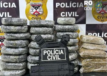POLÍCIA CIVIL APREENDE 30 QUILOS DE MACONHA EM SÃO MIGUEL DO GUAPORÉ