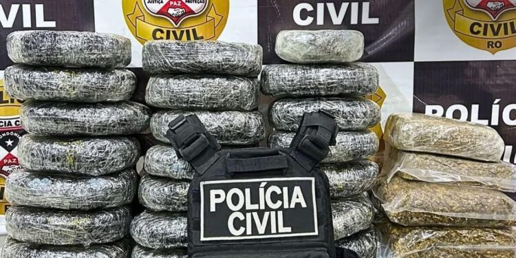 POLÍCIA CIVIL APREENDE 30 QUILOS DE MACONHA EM SÃO MIGUEL DO GUAPORÉ