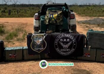 MILHÕES: 10º BPM – FORÇAS DE SEGURANÇA APREENDEM CERCA DE 500 QUILOS DE COCAÍNA E SKUNK NA ZONA DA MATA.