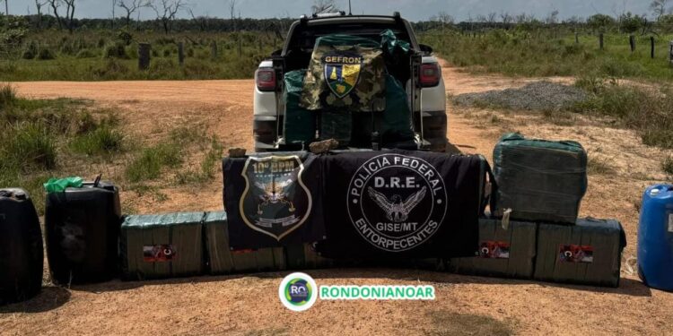 MILHÕES: 10º BPM – FORÇAS DE SEGURANÇA APREENDEM CERCA DE 500 QUILOS DE COCAÍNA E SKUNK NA ZONA DA MATA.