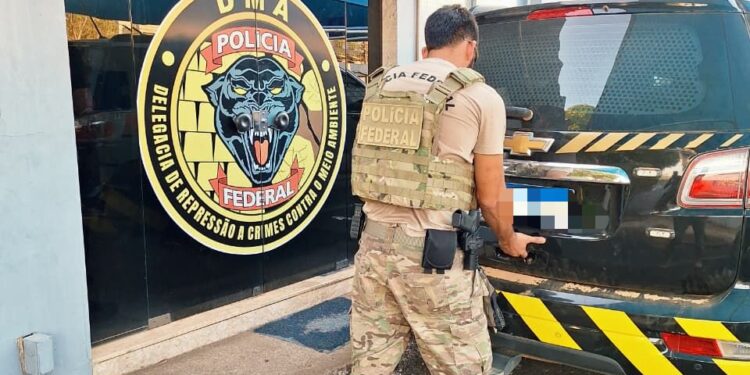 PF prende duas pessoas por queimada ilegal em Rondônia